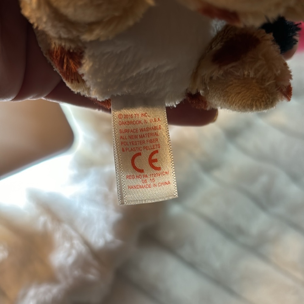 2015 Beanie Boos Ty Buckwheat 6” September 14 EUC - Picture 8 of 8
